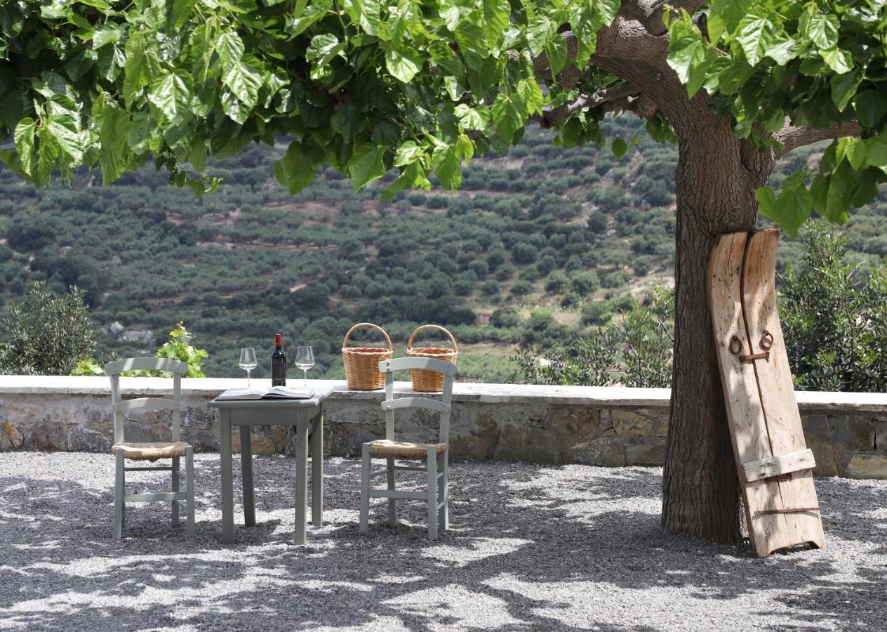 Amvikas Suites-sitia Apartment Sitia (Crete)