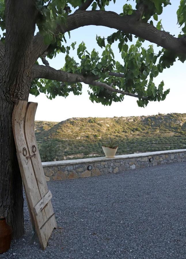 Amvikas Suites-sitia Apartment