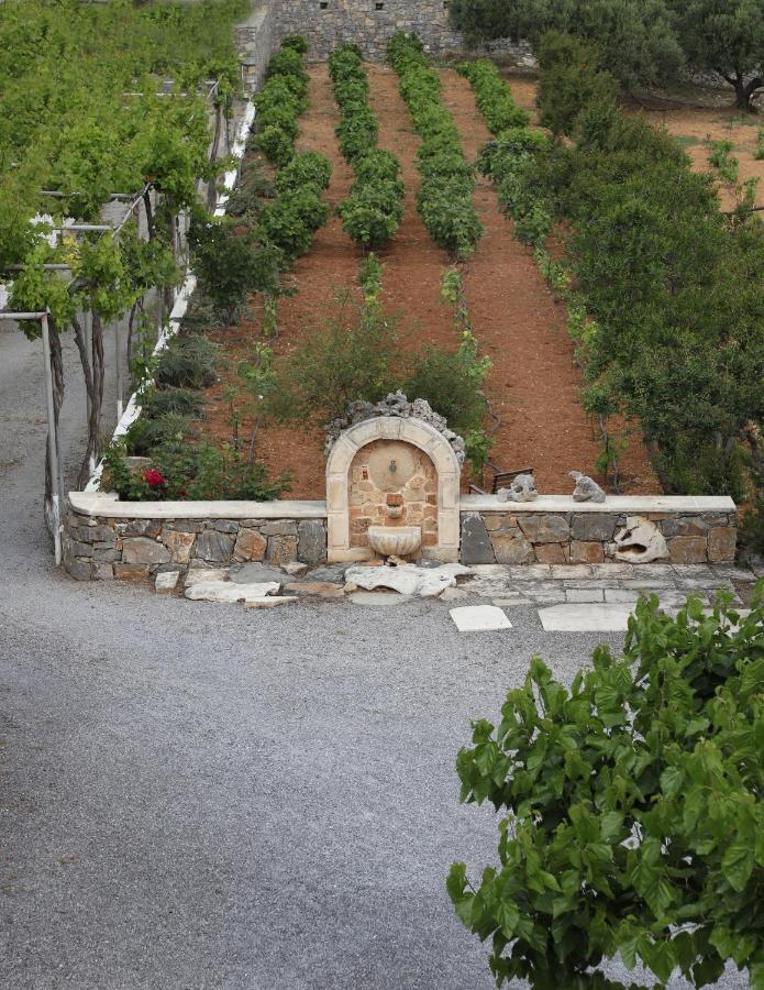 Apartment Amvikas Suites-sitia Sitia (Crete)